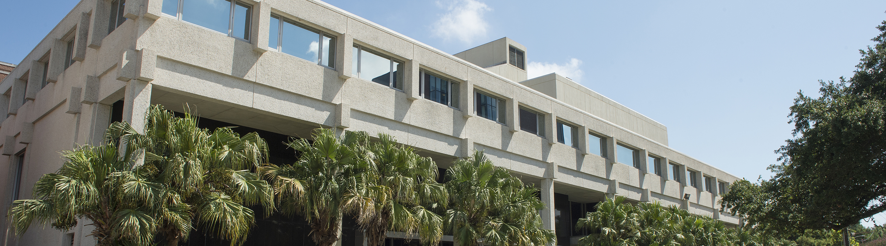 the College of Business